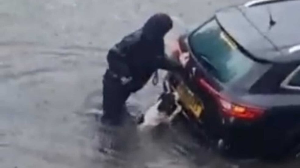 Cachorro e mulher empurrando carro em enchente