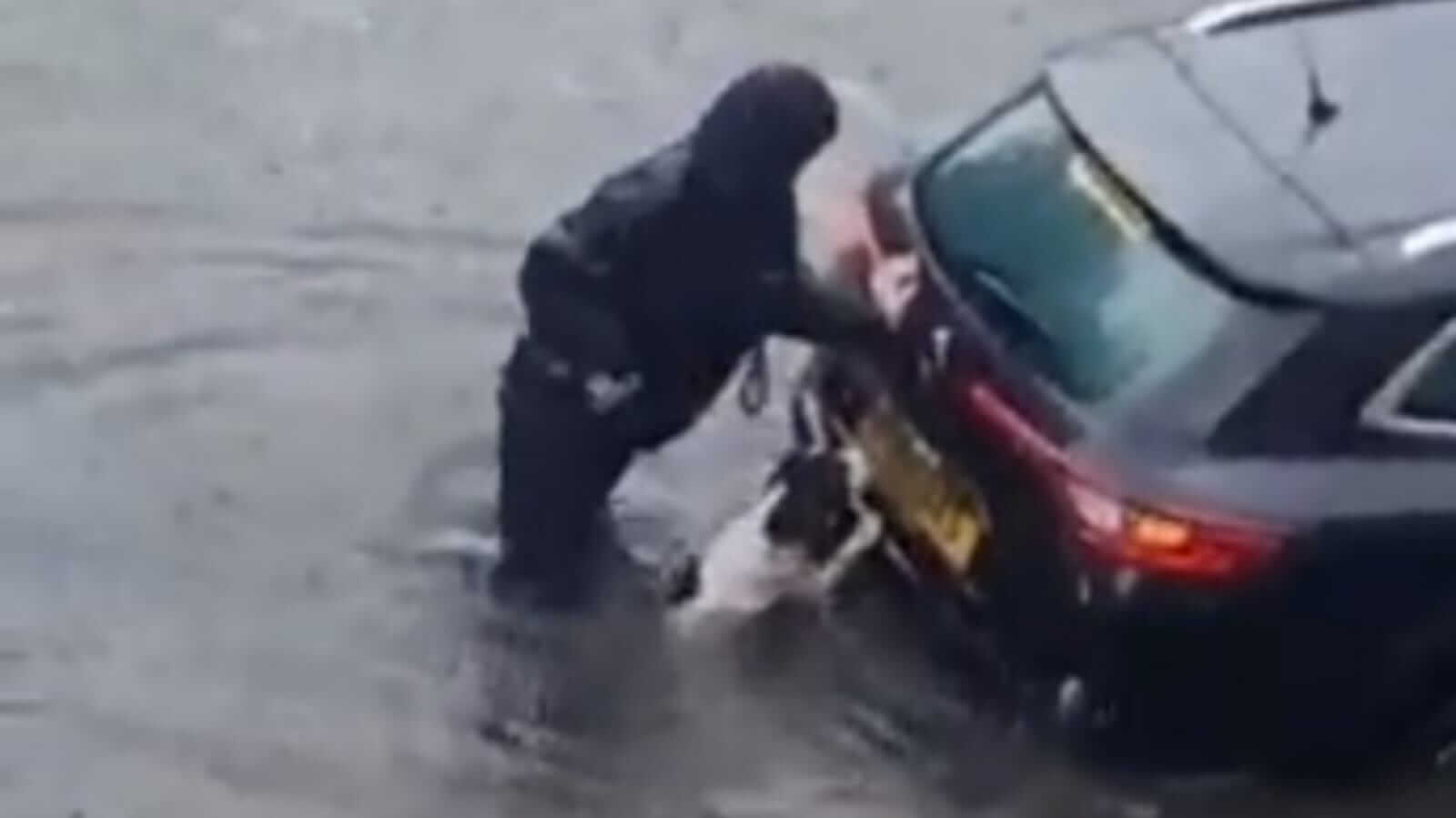 Cachorro e mulher empurrando carro em enchente