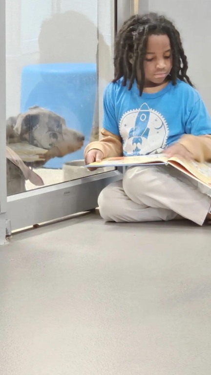 Criança lê livro para cachorro em abrigo