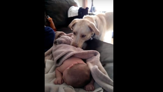 (Foto: Reprodução/Youtube)