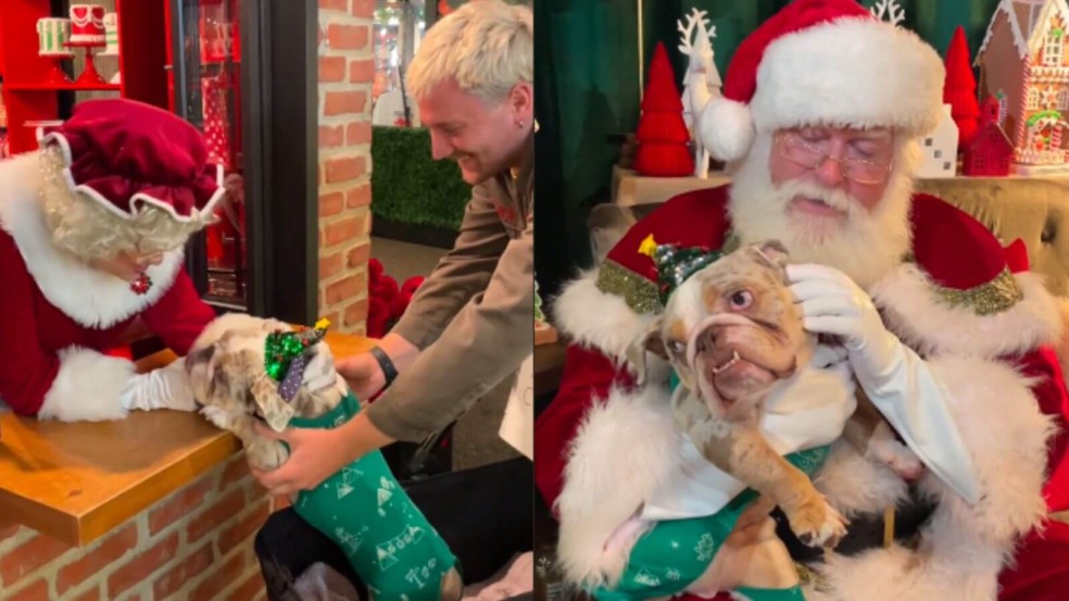 Foto: Roadogs Rescue Foto: Roadogs Rescue