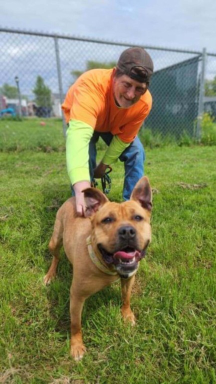 Homem segurando cachorro em gramado