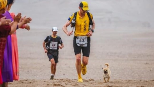 Homem e cachorro correndo