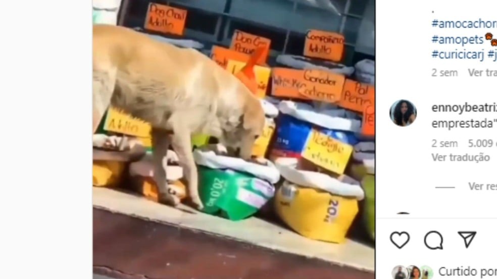 (Foto: Reprodução/Instagram)