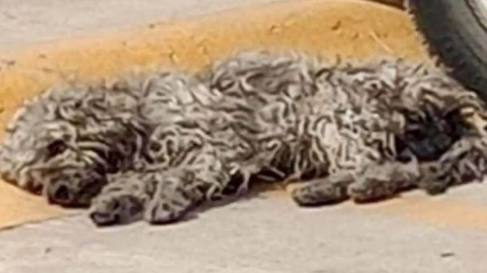 Foto: Reprodução/Facebook