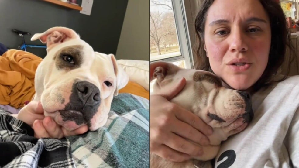 Mulher com cachorro adotado