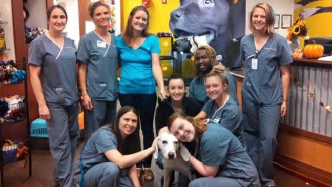 Equipe de abrigo com cachorro