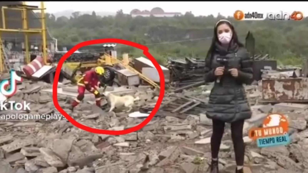 Foto: Reprodução/TikTok