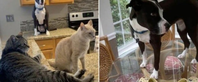 Foto: Arquivo pessoal