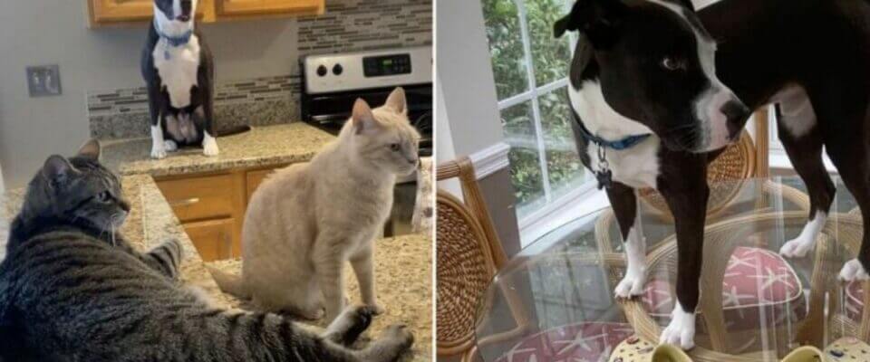 Foto: Arquivo pessoal