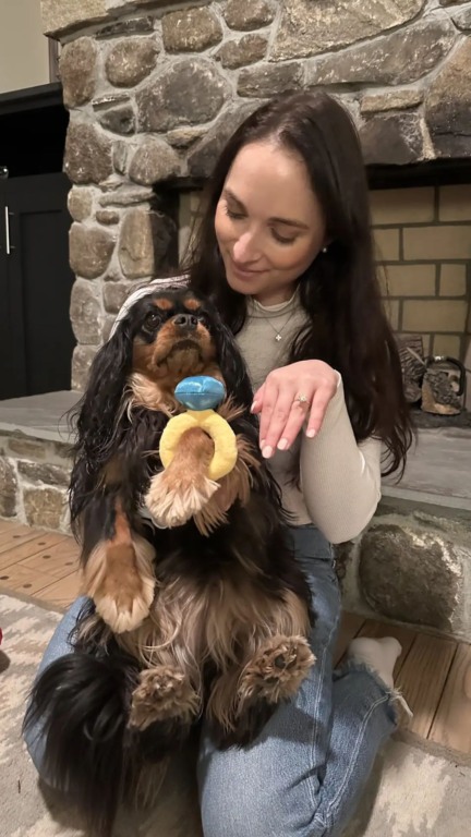 Cachorro é pedido em casamento junto com a tutora