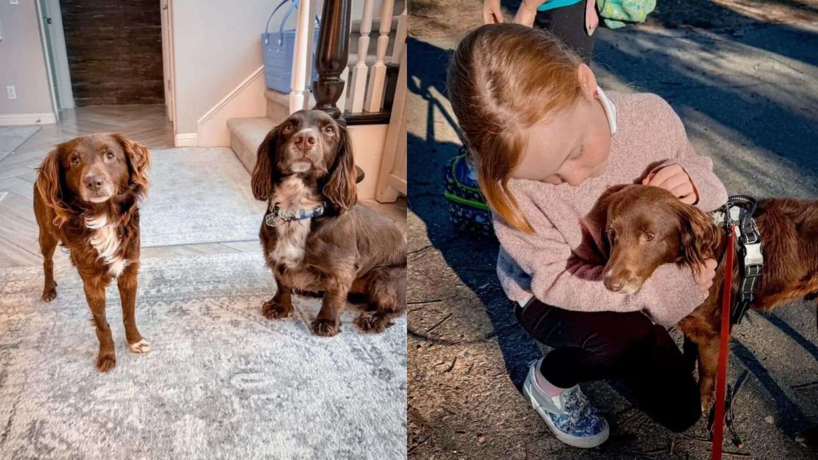 Clay e sua nova família