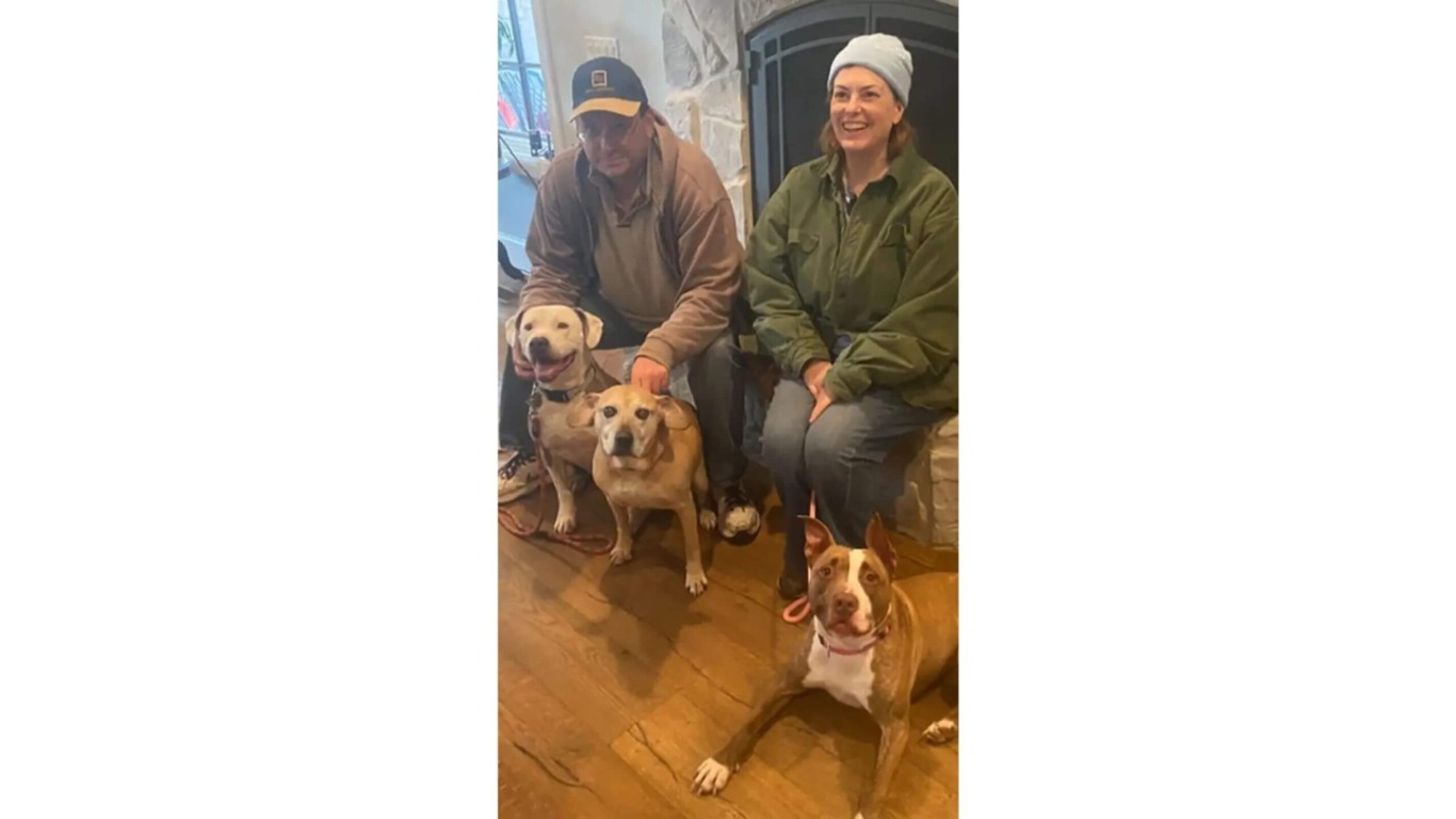 Casal com três cachorros