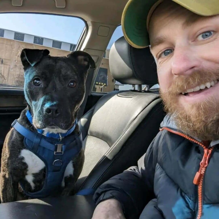 Cachorro 'esquelético' se enrola em folhas enquanto espera para ser resgatado