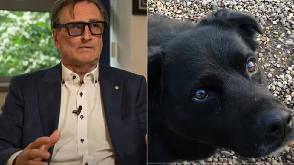 Cachorro fareja câncer no rosto do tutor e salva sua vida Cachorro fareja câncer no rosto do tutor e salva sua vida