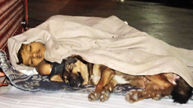 Menino dormindo no chão com cachorro