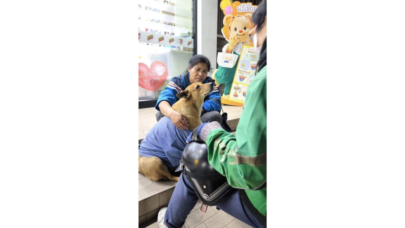Cachorro em frente a mercado com pessoas