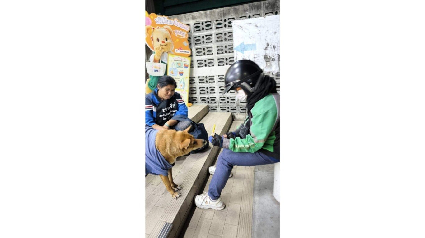 Cachorro em frente a mercado com pessoas
