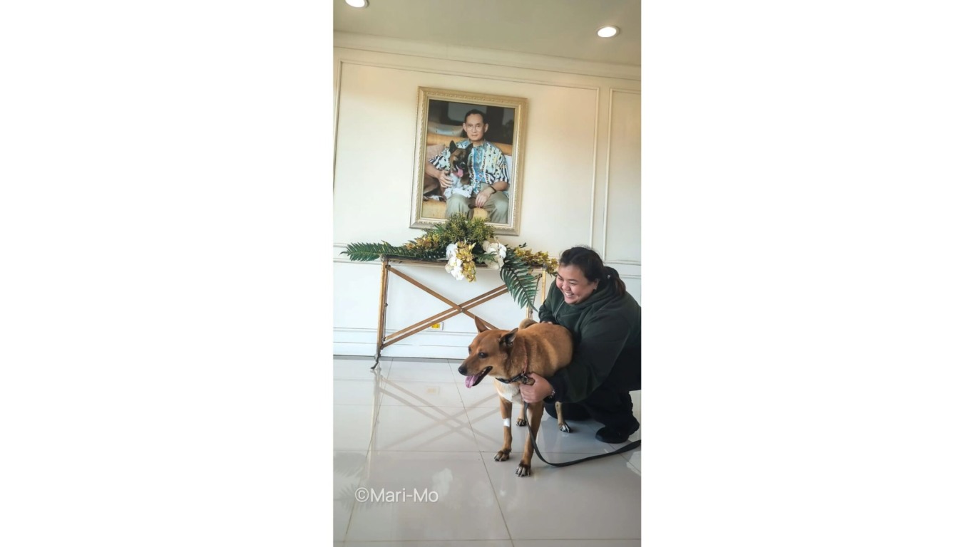 Mulher abraçando cachorro