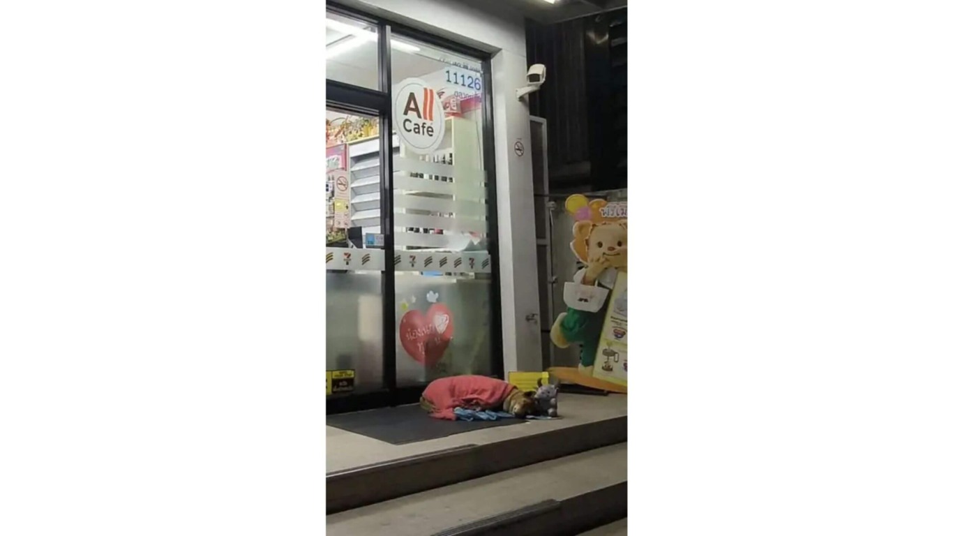 Cachorro deitado em frente a mercado