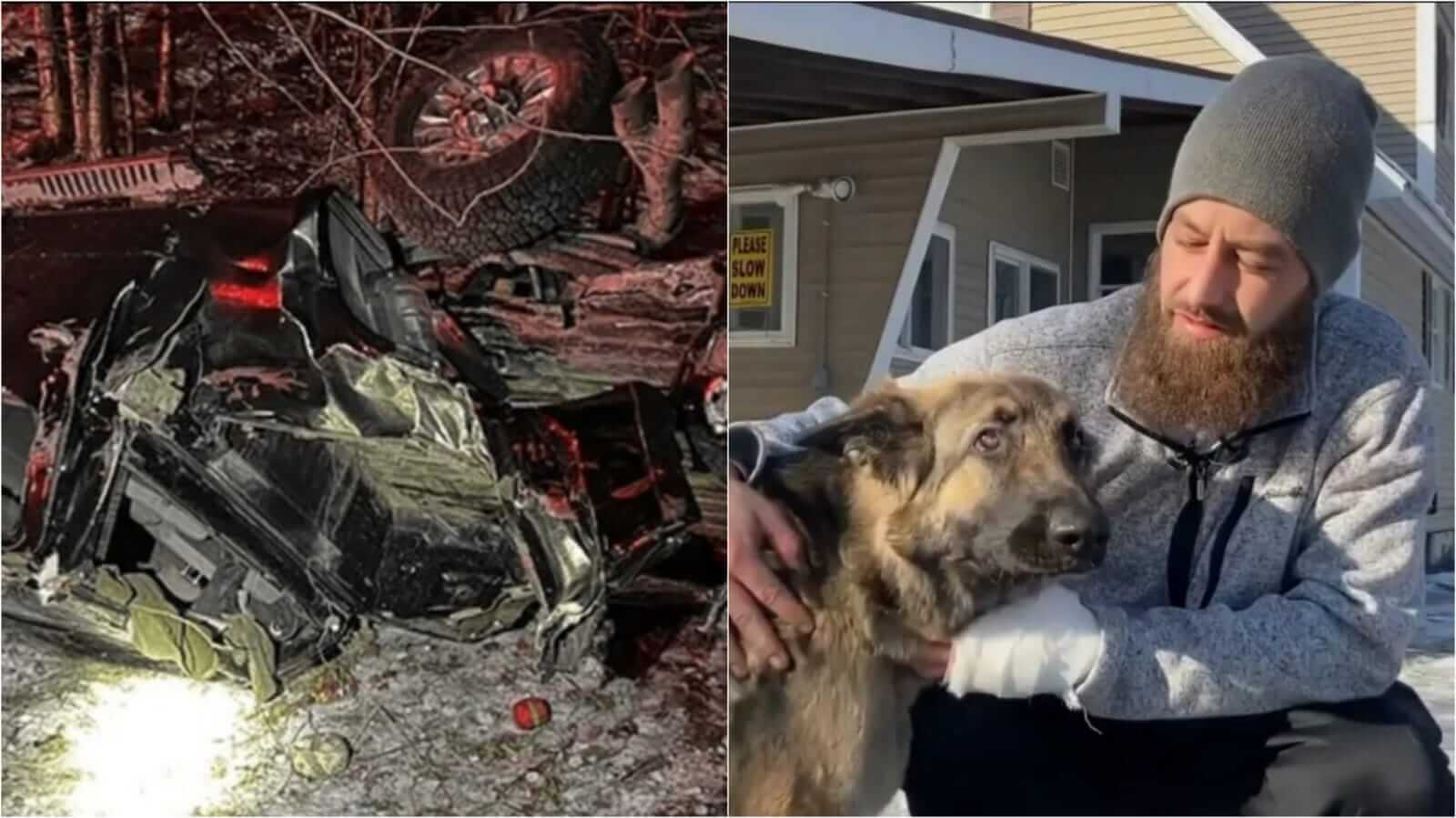 Foto de carro após acidente e homem com cachorro