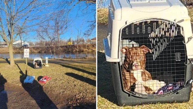 Cachorro foi abandonado à beira do rio com todos os seus pertences