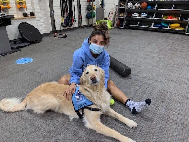 Mulher sentada no chão com cachorro golden retriever