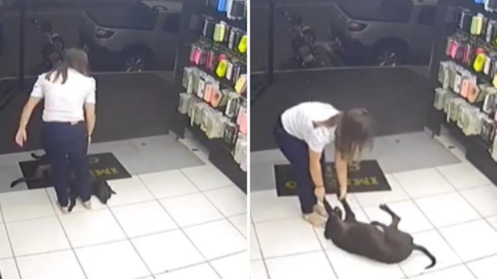 (Foto: Reprodução/cameras de segurança)