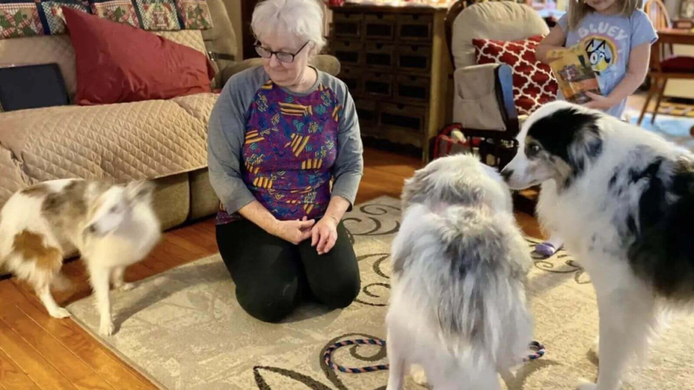 Cachorro 'morto' abandonado em caixa da Amazon se revela um verdadeiro amor