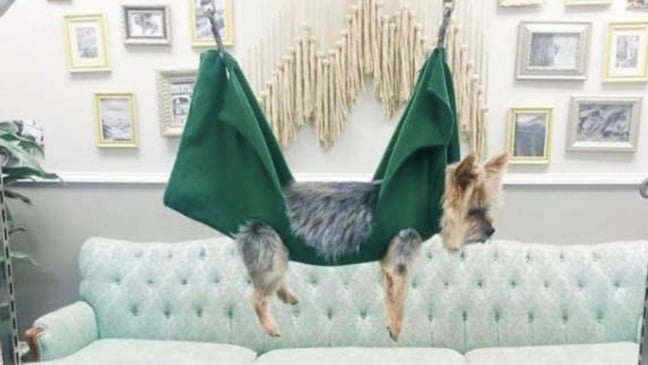 (Foto: Reprodução/catiororeflexivo)