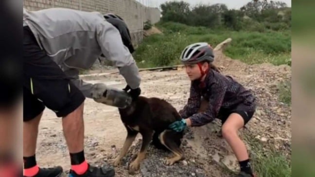 Ciclistas ajudando cachorro com garrafa presa na cabeça