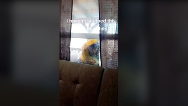 (Foto: Reprodução/TikTok)