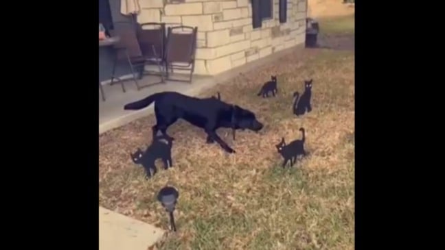 (Foto: Reprodução/Gshow)