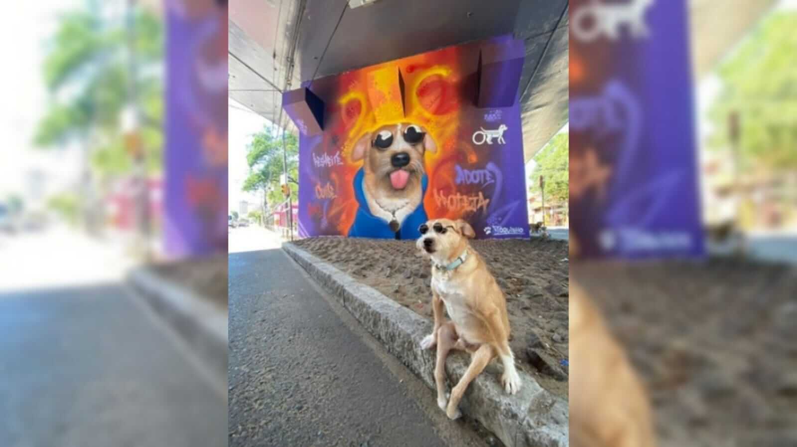 cachorro paraplégico ganha mural em viaduto