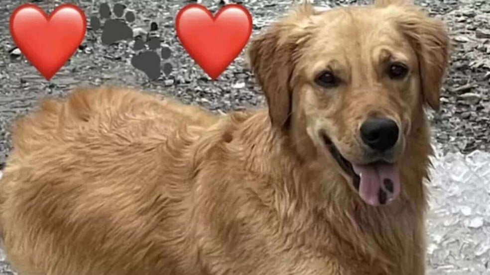 Foto: Facebook/Tucker K-9 Search & Rescue