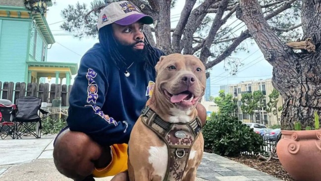 Cachorro pit bull sofre discriminação, mas encontra alegria em nova comunidade