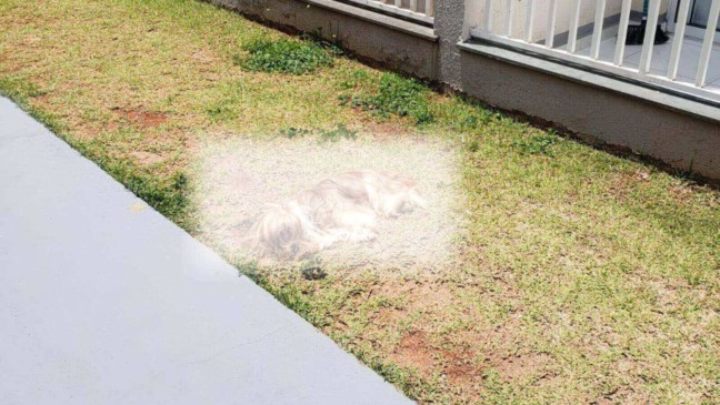 Foto: Arquivo Pessoal