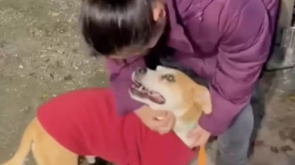 Foto: Reprodução/Facebook