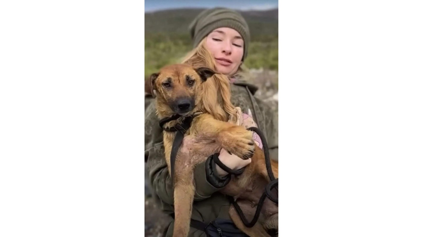 Cachorro que vivia em depósito de lixo é resgatado