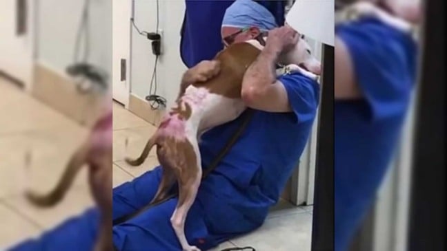 Foto: Arquivos pessoais