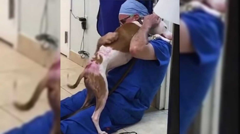 Foto: Arquivos pessoais