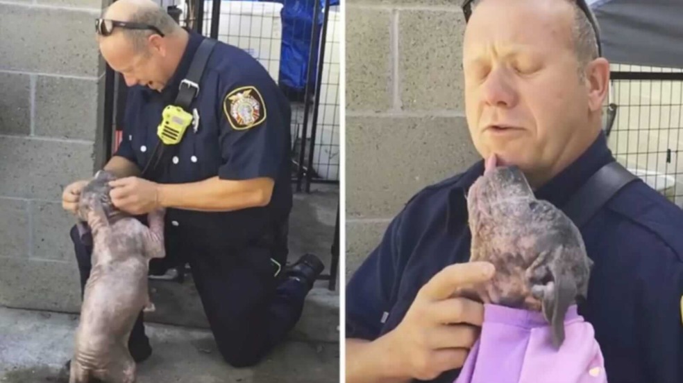 Bombeiro abraçando cachorro que ele resgatou