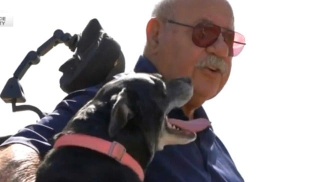 Idoso em cadeira de rodas e cachorro preto