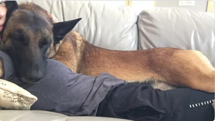 Mulher e cachorro deitados