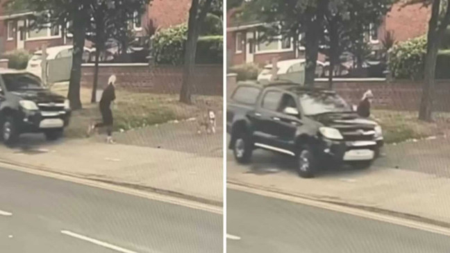 Cachorro salva tutora de ser atropelado