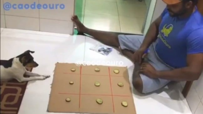 Homem sentado no chão com cachorro