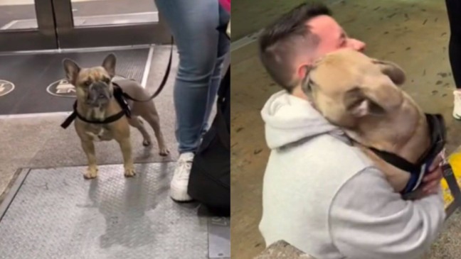 Foto: Reprodução/TikTok