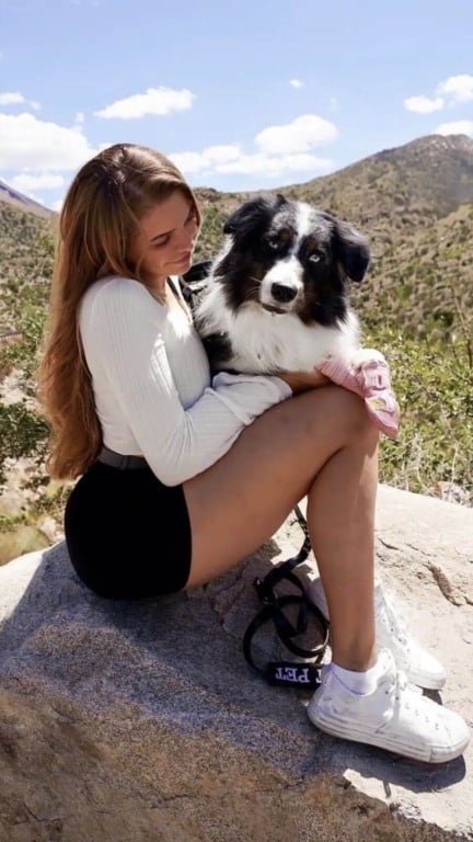 Cachorro treinado para detectar convulsões salva a vida de sua melhor amiga