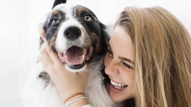 Cachorro treinado para detectar convulsões salva a vida de sua melhor amiga