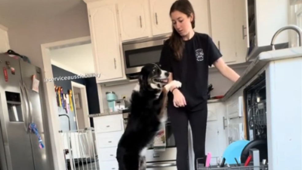 Cachorro de serviço ajuda tutora durante crise